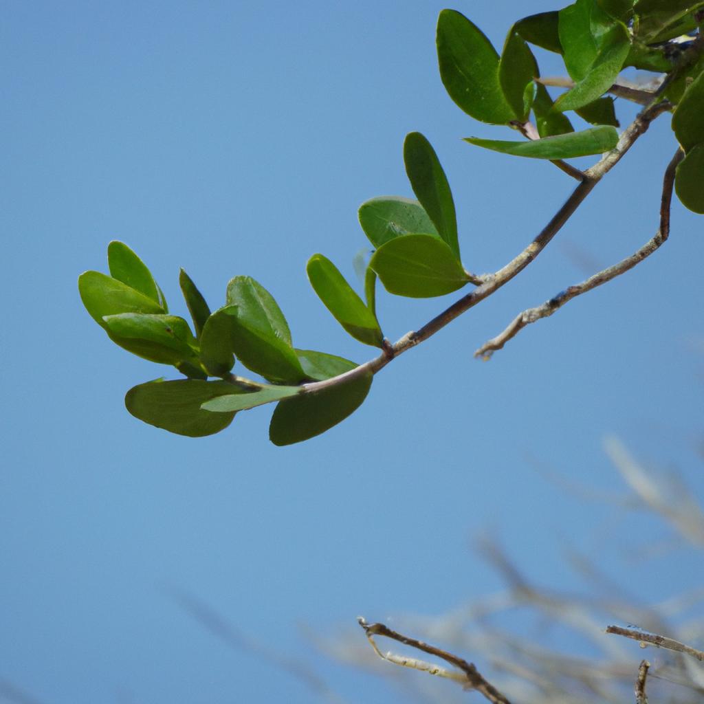 Discover Plant Adaptations: Harnessing Nature to Survive!”